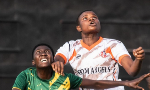 naija-ratels-show-intent-in-gritty-abuja-opener-against-ibom-angels